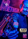 Mr. Inbetween Temporada 2 [720p]